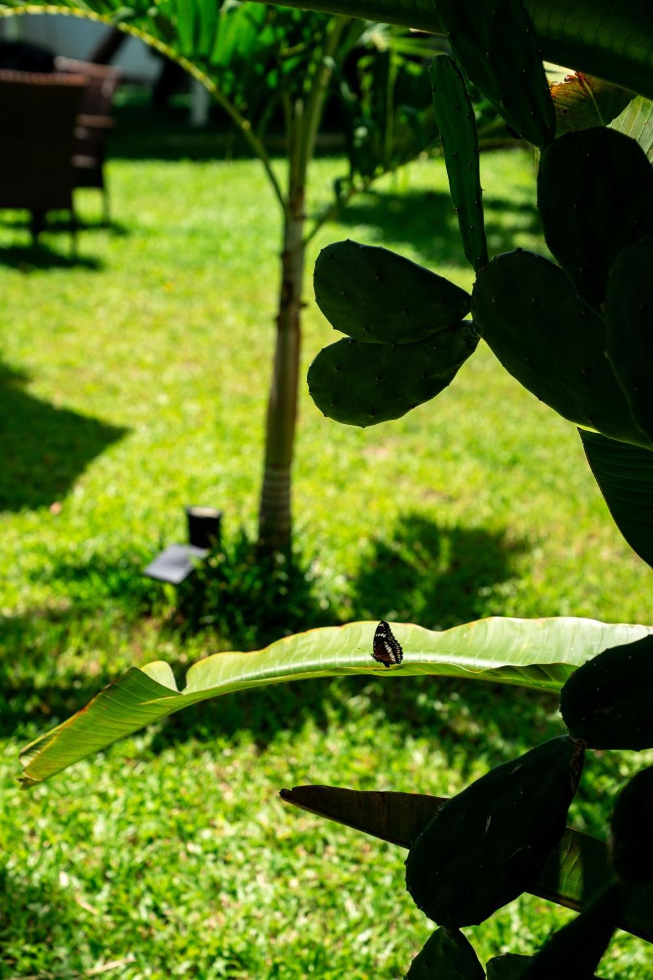Koh Samui Resort & Restaurant Taling Ngam  Bagian luar foto
